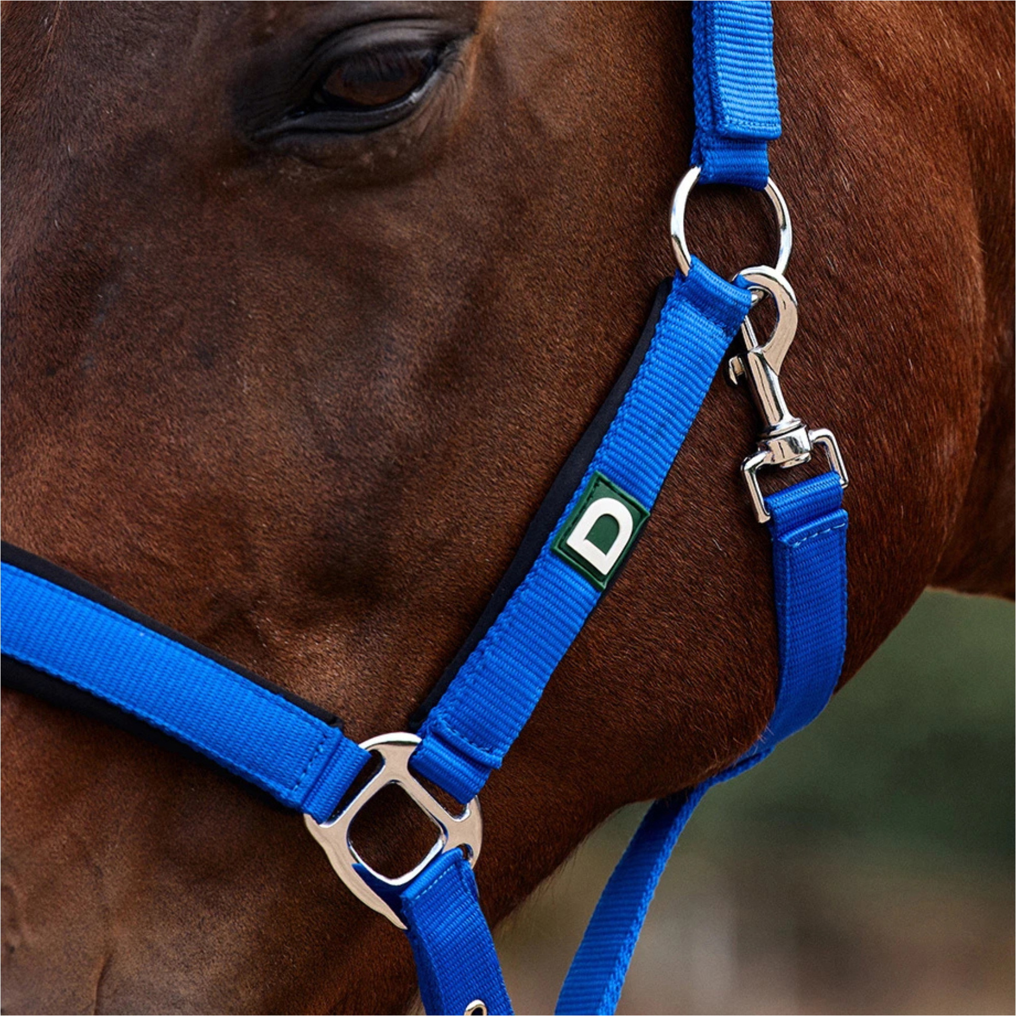 2026 Dublin Neo Comfort Headcollar 1031035 - Cobalt